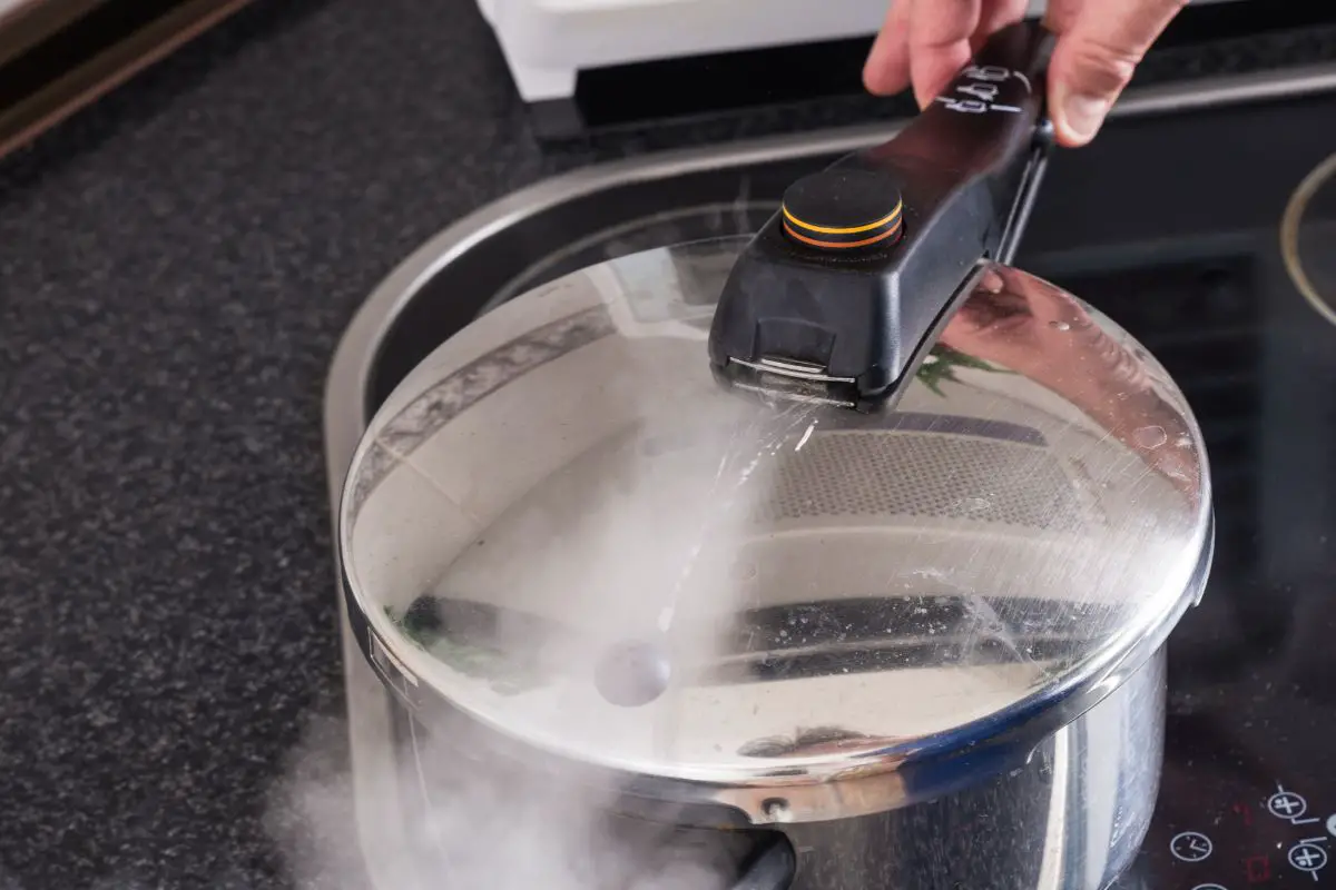 9 Female Chef Pressure Cooking Cookbooks You Do Not Want To Miss 9 Female Chef Pressure Cooking Cookbooks You Do Not Want To Miss