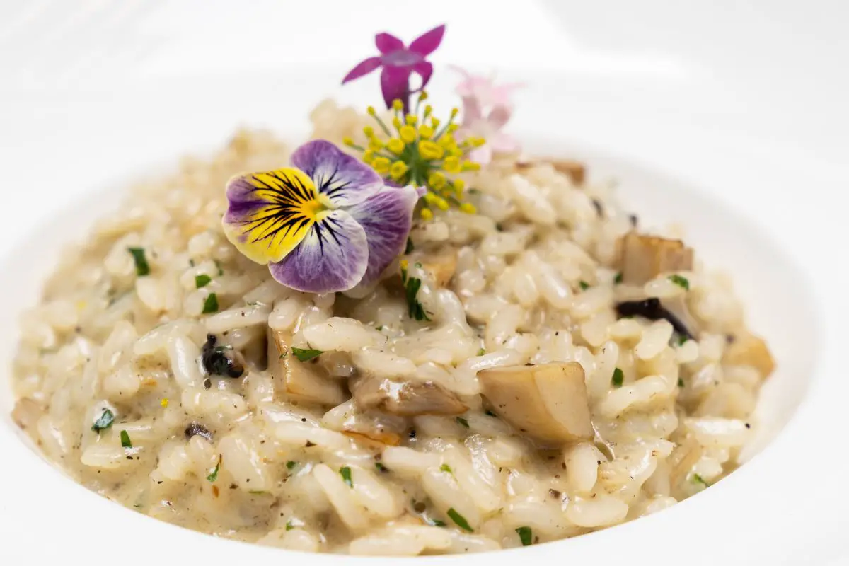 Find The Best Antonia Klugmann Recipes For A Taste Of Italy