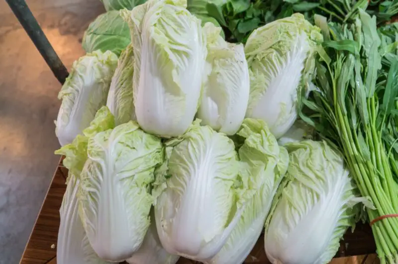 The 11 Best Napa Cabbage Recipes: Korean Cuisine