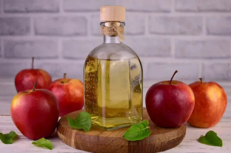 7 Flavored Vinegar Recipes By Martha Stewart (Including Delicious Vinaigrettes)