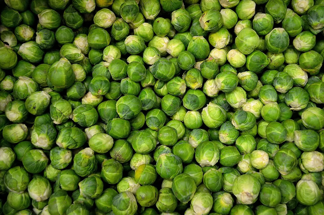 15 Simple Brussel Sprouts Recipes Everyone Needs To Know