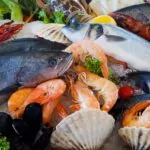15 Great Fish Recipes You Can Make Right Now