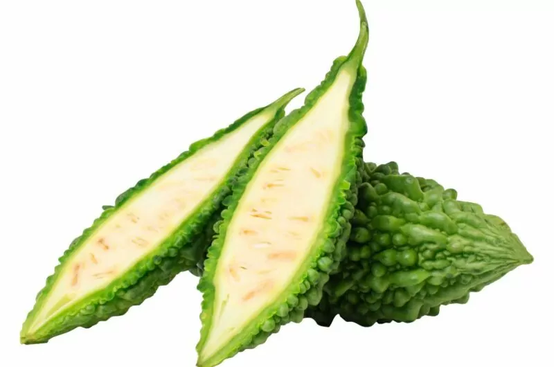The 10 Best Bitter Melon Recipes: Filipino Cuisine