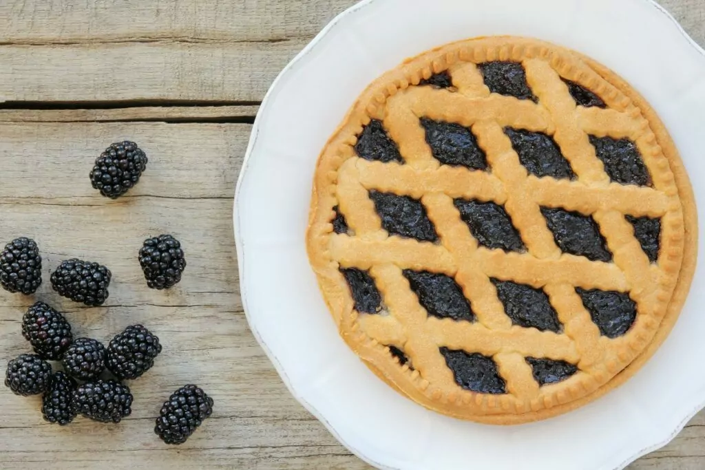 blackberry pie recipe martha stewart