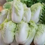 Napa Cabbage Recipes Korean
